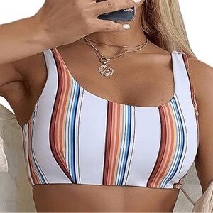 Striped Multicolor Crop Top